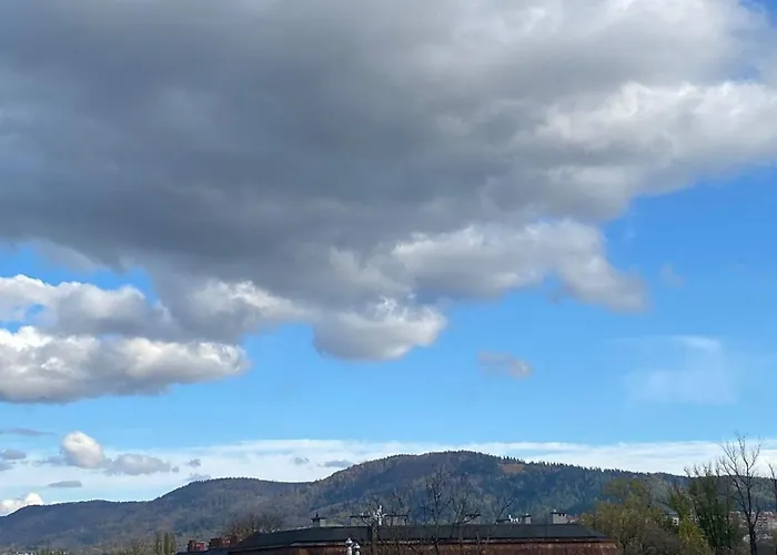 Mlynska2